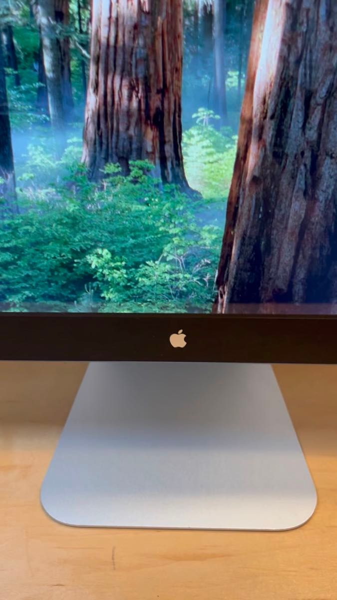 Apple LED Cinema Display 27インチ ディスプレイ + 変換ケーブル 【動作確認済】