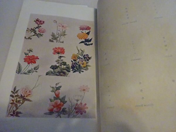 ヤフオク 梅鄙右源治 図説 毛氈花壇 博文館 明治43年初 ヤフオク 梅鄙右源治 図説 毛氈花壇 博文館 明治43年初