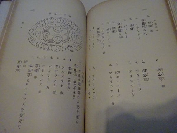 ヤフオク 梅鄙右源治 図説 毛氈花壇 博文館 明治43年初 ヤフオク 梅鄙右源治 図説 毛氈花壇 博文館 明治43年初
