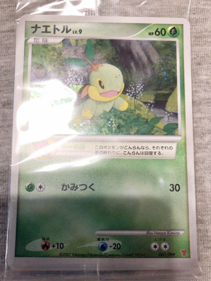 ポケモンカード ナエトルの値段と価格推移は 143件の売買情報を集計したポケモンカード ナエトルの価格や価値の推移データを公開