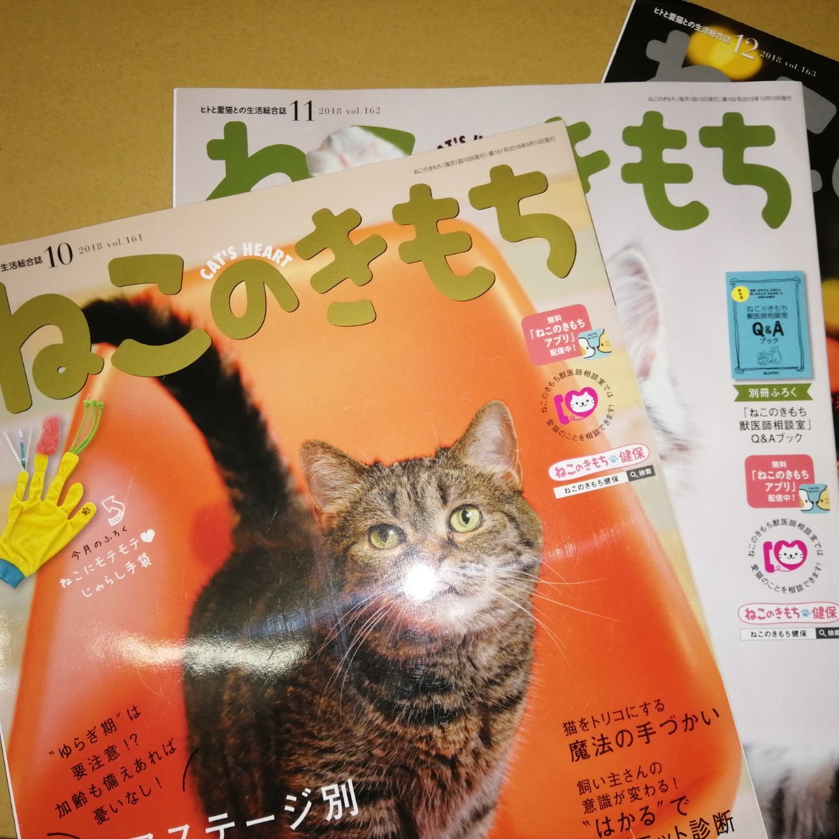 Paypayフリマ ねこのきもち 18 Vol 153 Vol 163 雑誌のみ Paypayフリマ ねこのきもち 18 Vol 153 Vol 163 雑誌のみ