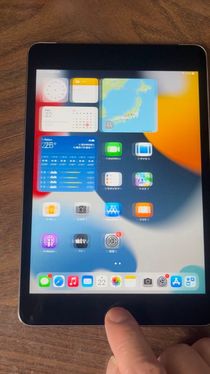 iPad mini第4世代 128GB SIMフリー スペースグレイバッテリー容量95% 充電回数:183回専門ソフト検査