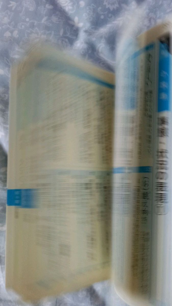 読解を深める現代文単語評論・小説 (改訂版) 桐原書店【美品】