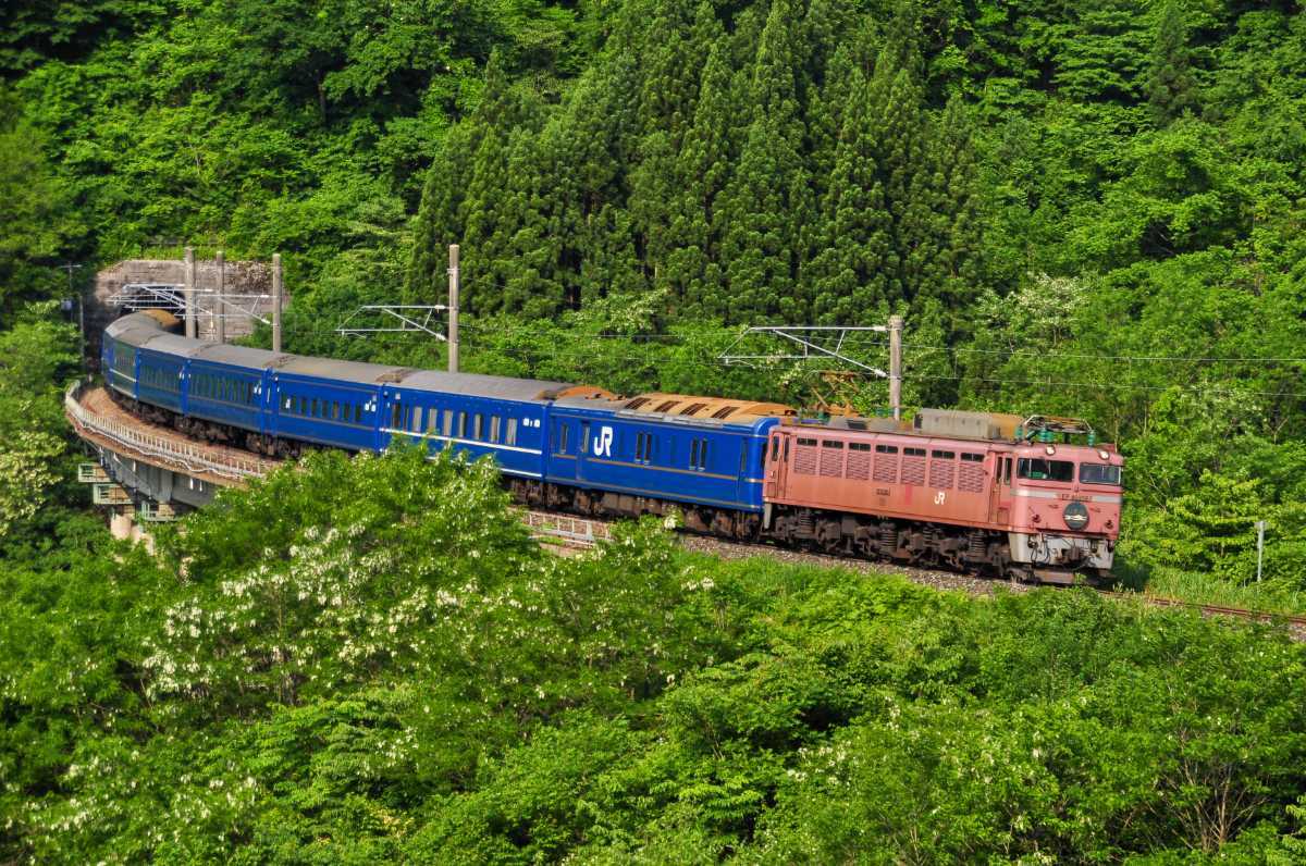 鉄道 デジ 写真 画像 寝台特急日本海 15_画像1