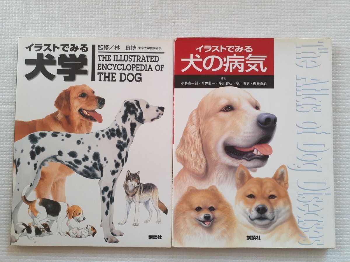 イラストでみる犬学/犬の病気