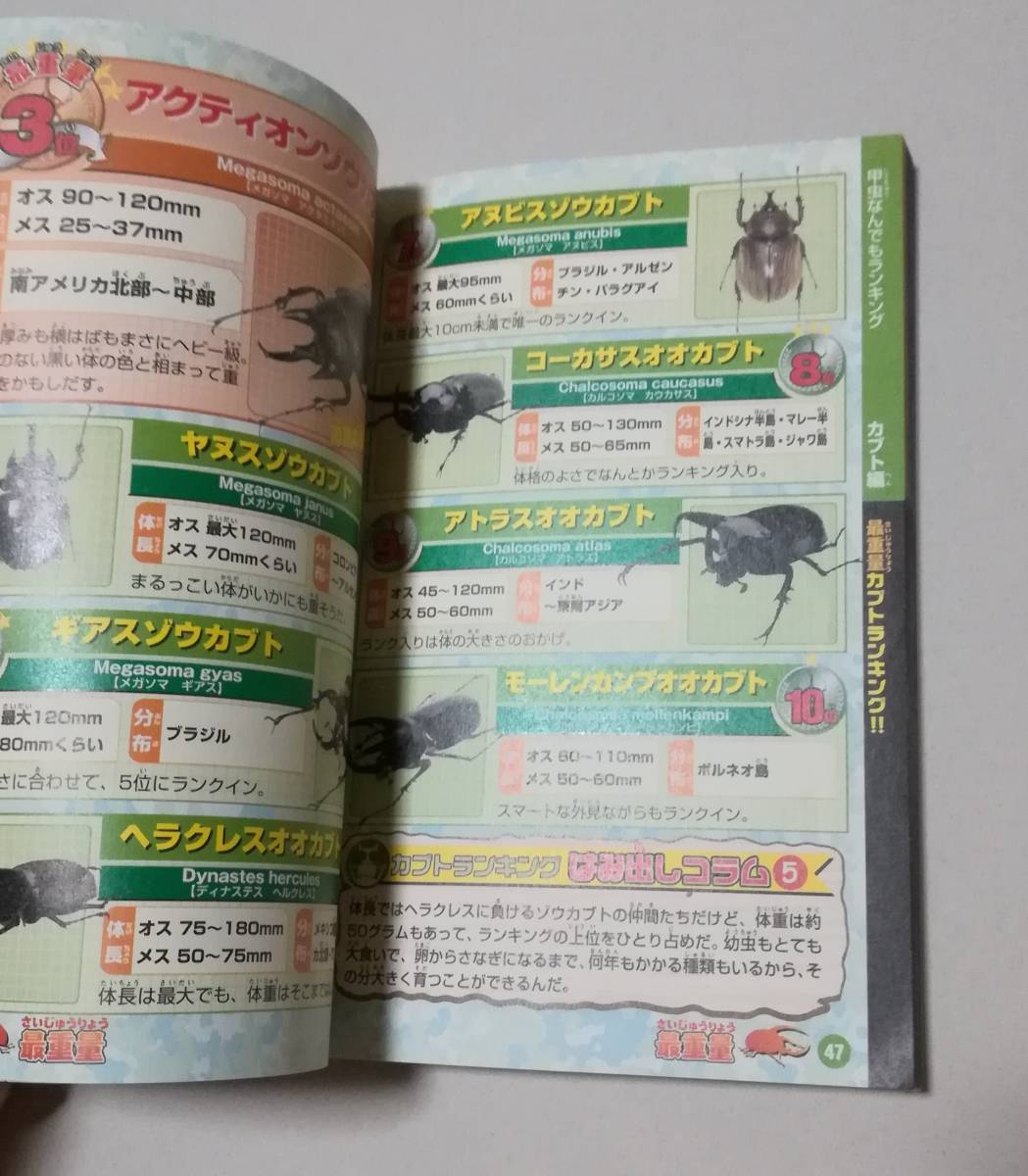 stag beetle & Kabuto . insect ranking large various subjects issue day 2005 year 9 month 