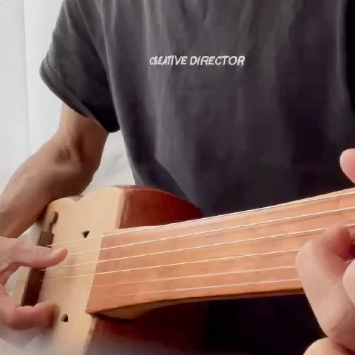 超個性派楽器 フレットレス琵琶ギター