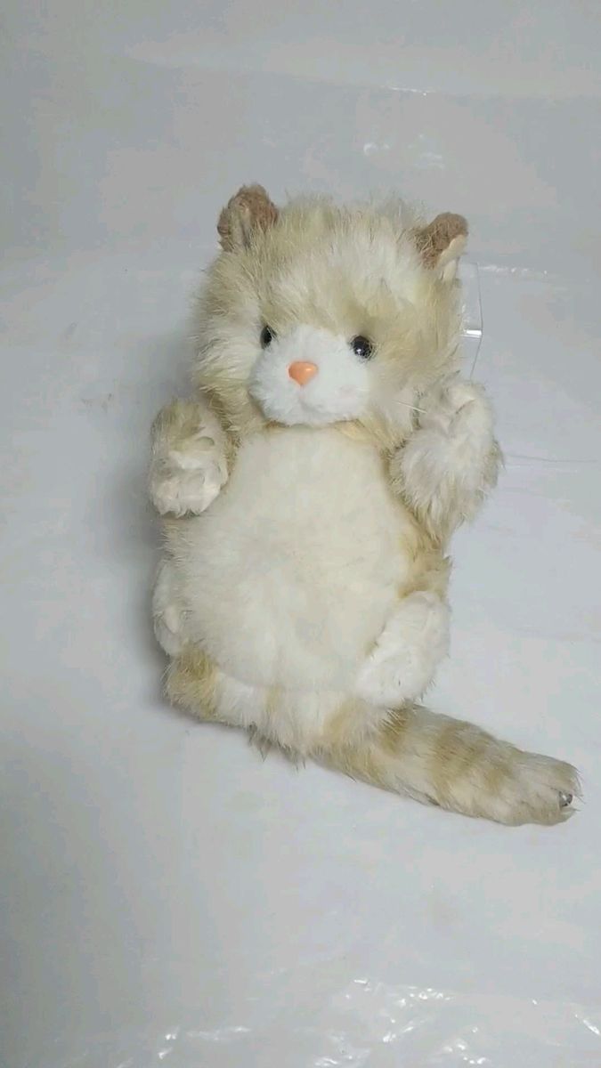 猫 ぬいぐるみ ネコ cat スコティッシュフォールド kitten
