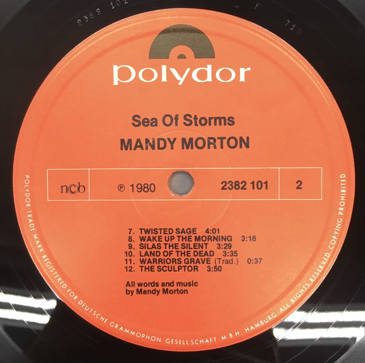 LP Mandy Morton Sea Of Storms 2382101 オリジナル盤！ Spriguns UK Female Folk_画像4