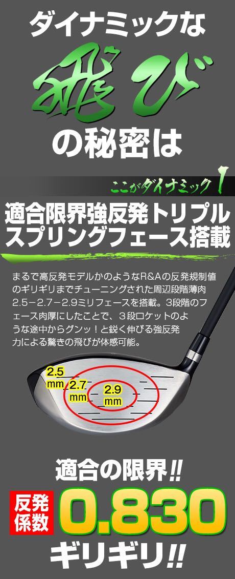 新品 大幅値下げ】ダイナゴルフ ダイナミクス ルール 適合 ドライバー