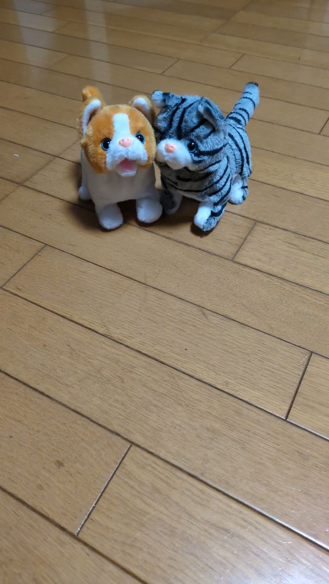 動くぬいぐるみ 猫 2体セット
