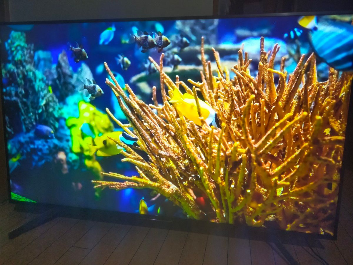 【ジャンク】SONY BRAVIA KJ-55X8550G SONY BRAVIA KJ-55x8550G【LEDバックライト新品交換済】|Yahoo