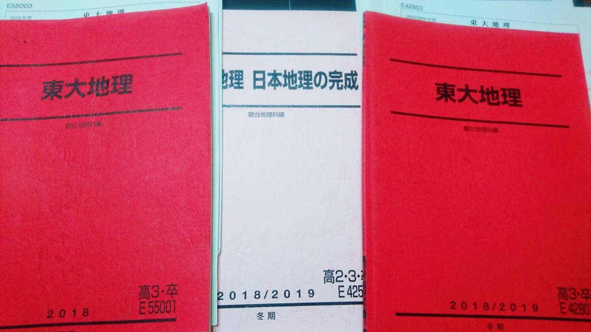 駿台 東大地理 夏期・冬期 頻出！地理日本地理の完成 解答・テスト