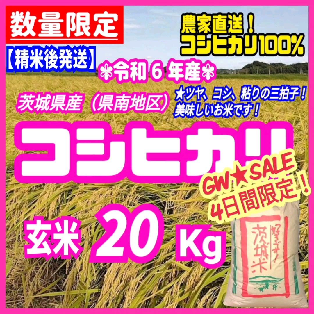 【精米後発送】GW★SALE!在庫少!令和6年産 茨城県産 コシヒカリ 1等米 玄米 20kg 20キロ お米 ごはん 白米