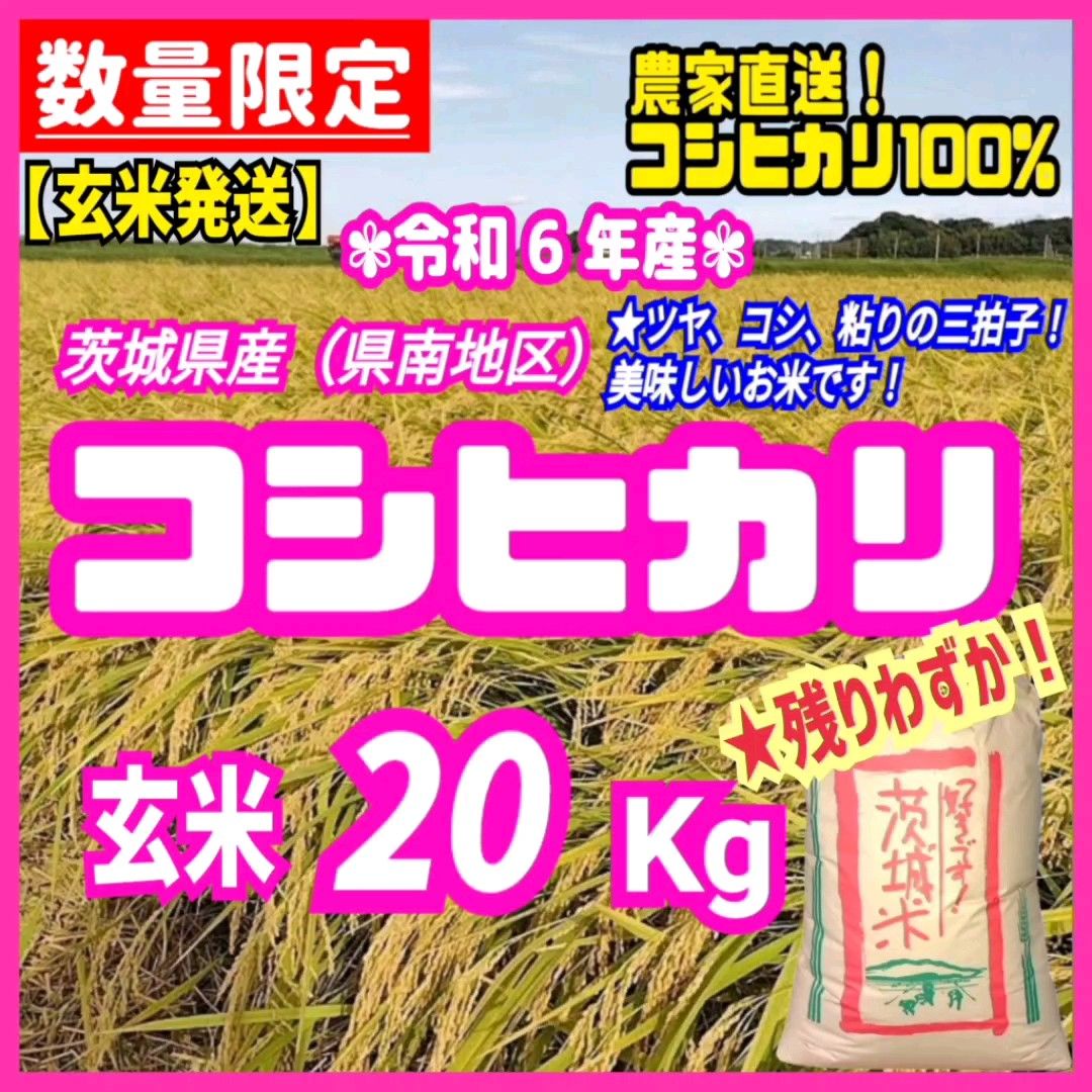 【玄米発送】残りわずか!令和6年産 茨城県産 コシヒカリ 1等米 玄米 20kg 20キロ お米 ごはん うるち米 白米