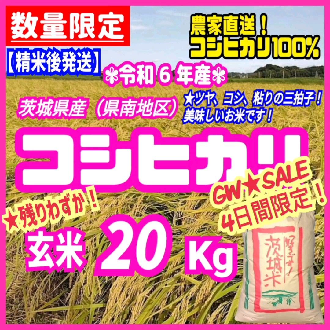 【精米後発送】GW★SALE!残りわずか!令和6年産 茨城県産 コシヒカリ 1等米 玄米 20kg 20キロ お米 ごはん 白米