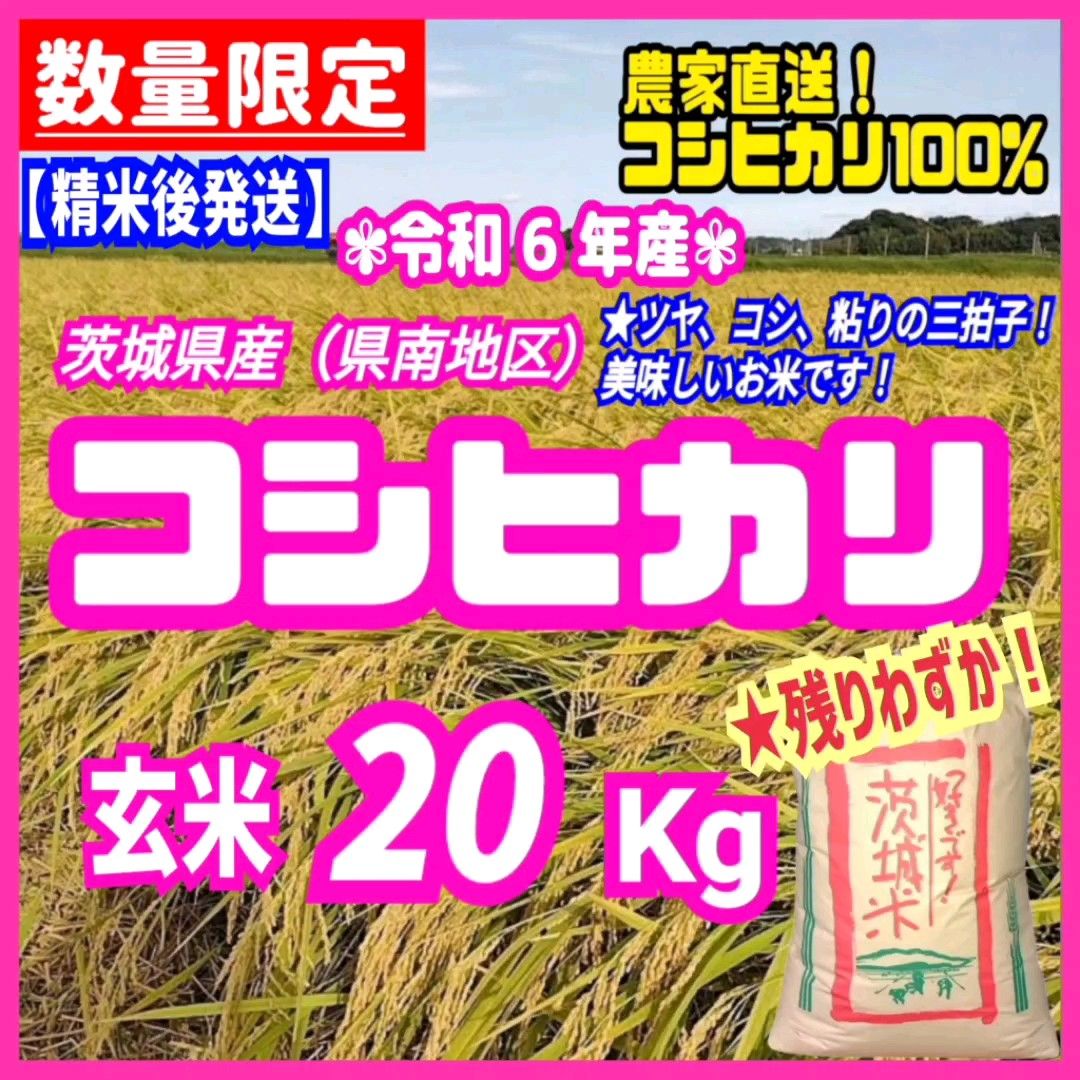 【精米後発送】残りわずか!令和6年産 茨城県産 コシヒカリ 1等米 玄米 20kg 20キロ お米 ごはん 白米