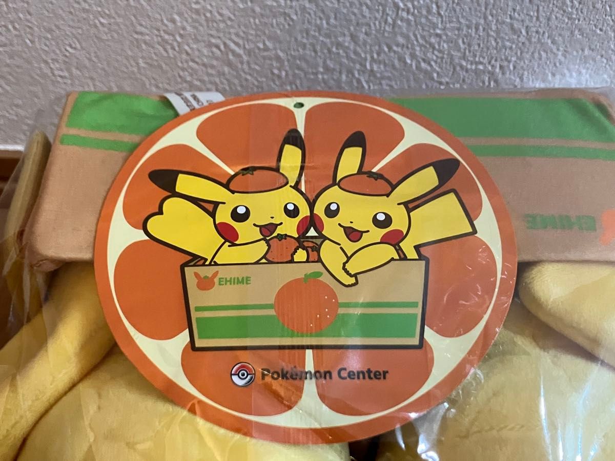 愛媛限定 ペアピカチュウ ポケモンぬいぐるみ ポケモンセンター