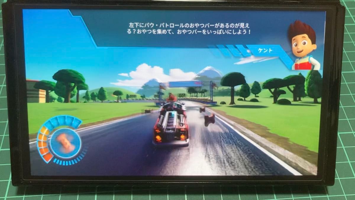 【Switch】 パウパトロール グランプリ※値下げ不可