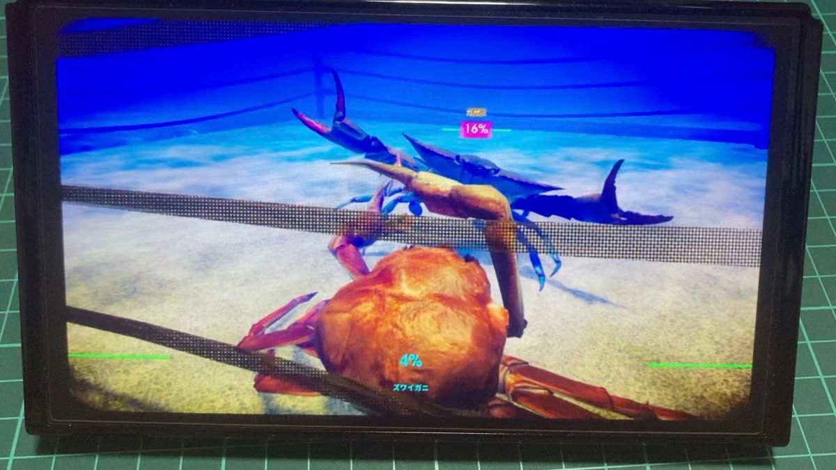 【Switch】 カニノケンカ −FightCrab−※値下げ不可