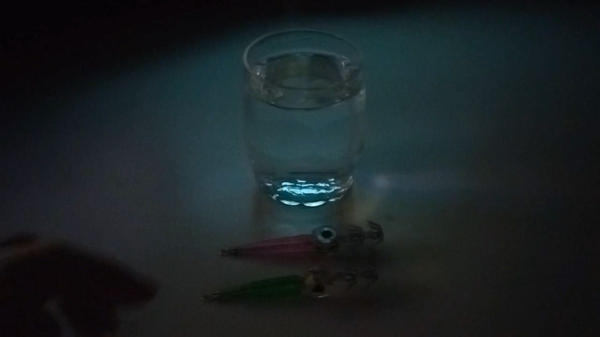 LEDで光るイカスッテ 緑と桃色 2個セット イカエギ 水中でLEDで自動点滅 エギング タコジグ アオリ ケース入り