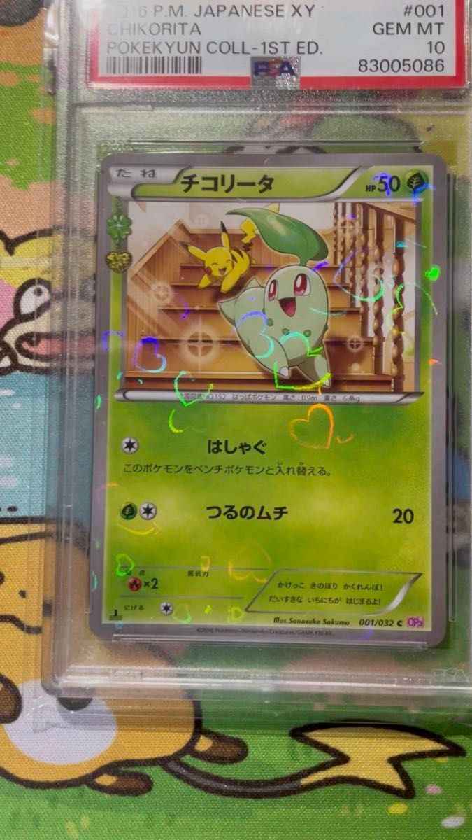 チコリータ ピカチュウ PSA10 ポケモンカード ポケキュンコレクション かわいい