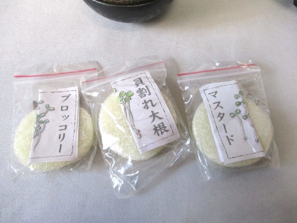 芽野菜 栽培キット　2個セット◇陶器皿付、貝割れ大根・マスタード・ブロッコリー　未使用_画像3