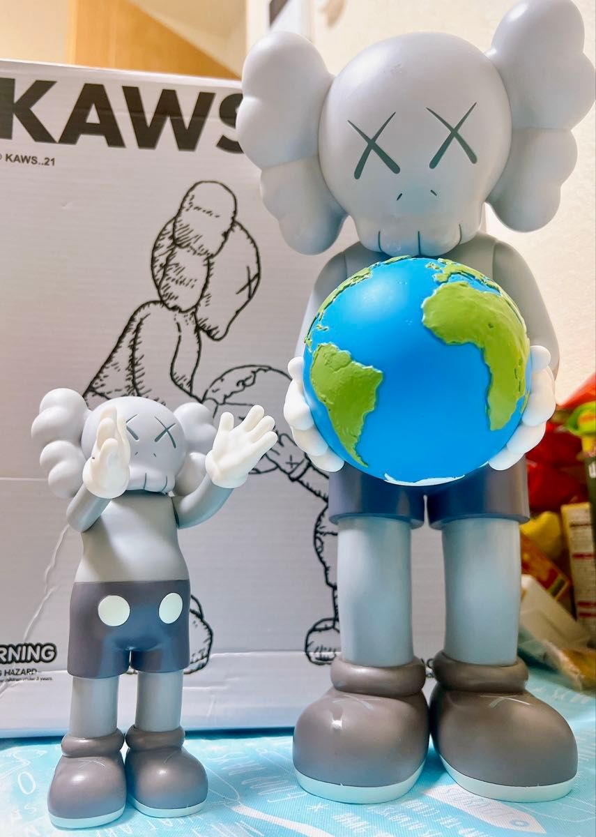 KAWS THE PROMISE GREY