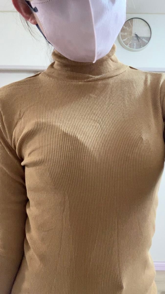 長袖 タートルネック ニット タートルネックカットソー インナー