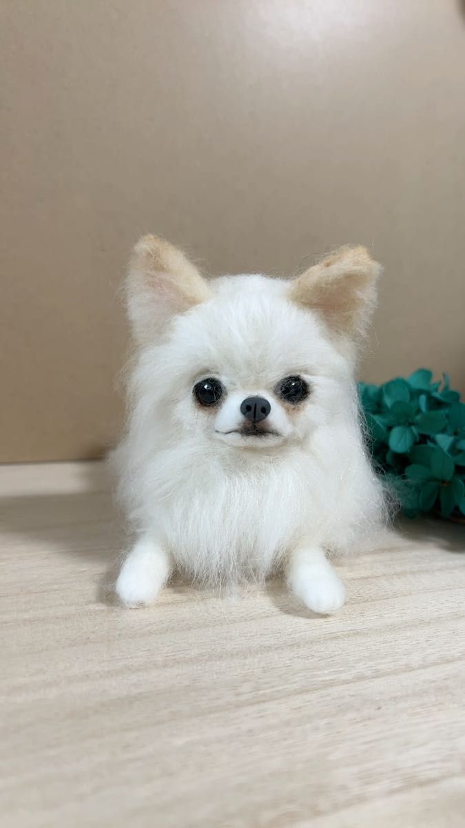 羊毛フェルト ふせをするチワワちゃん