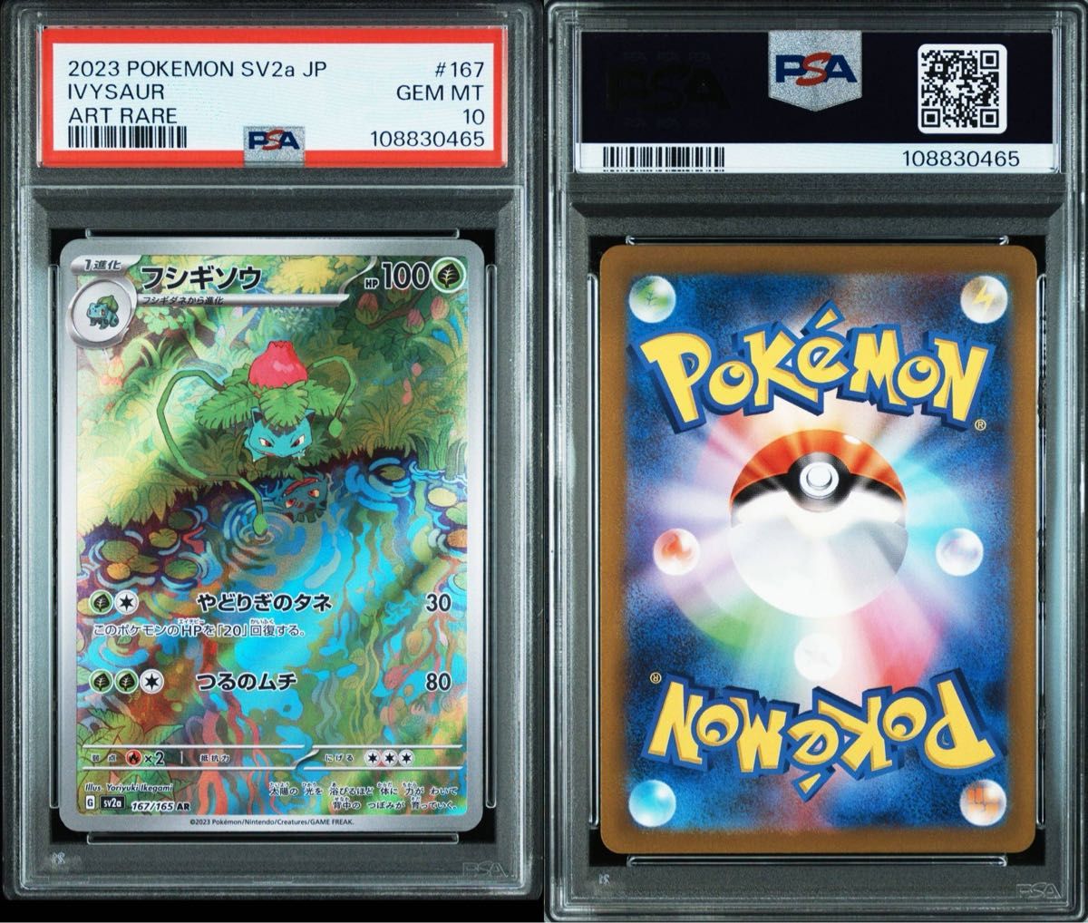 PSA10 3連番 フシギダネ フシギソウ フシギバナ ポケモンカード PSA10 3連番 フシギダネ フシギソウ フシギバナ ポケモンカード