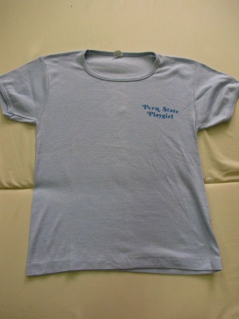 N347＊70sビンテージ　ARTEX　アーテックス　染み込みプリント　Tシャツ　US古着_画像1