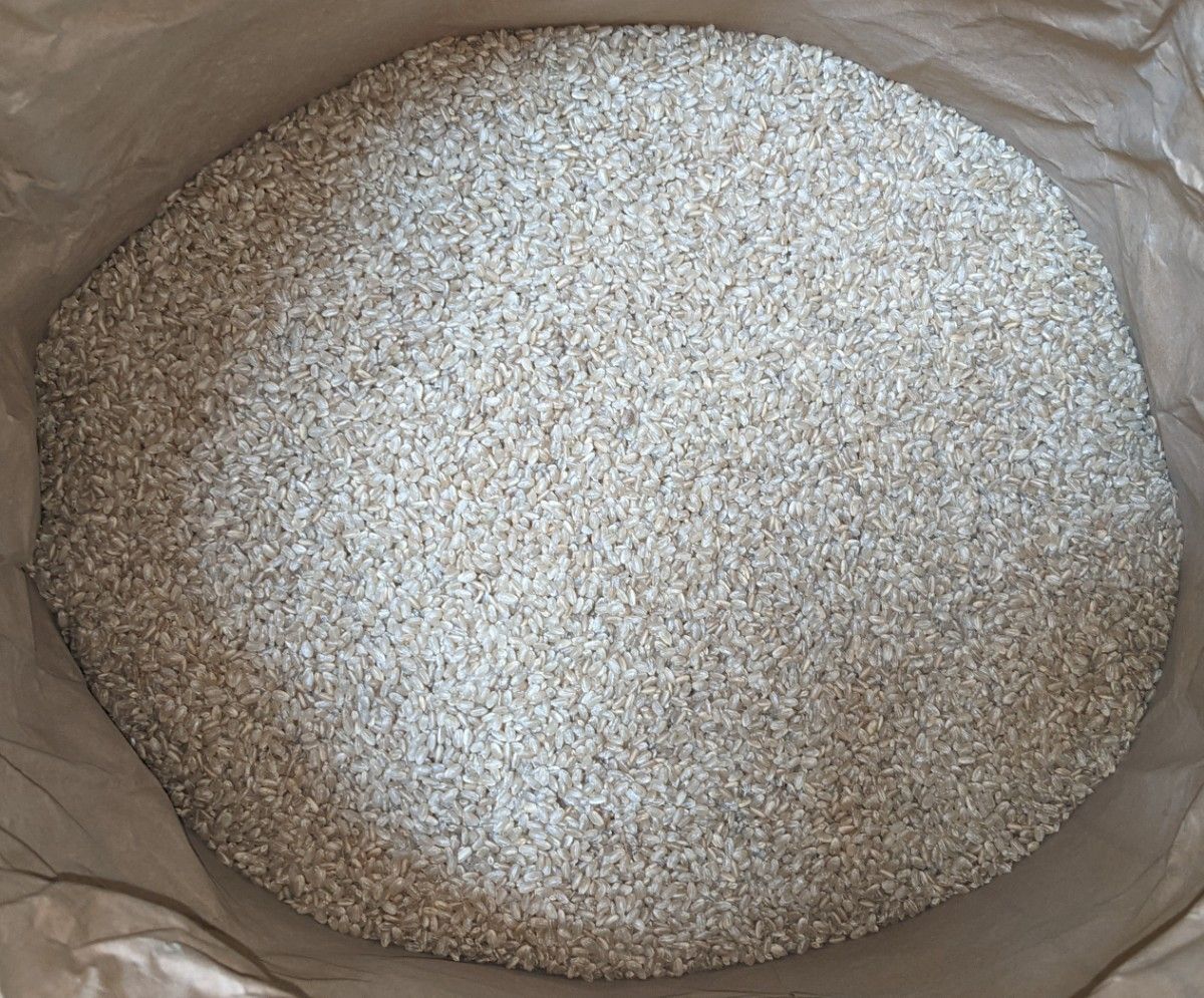 令和5年産 コシヒカリ 30kg 玄米｜Yahoo!フリマ（旧PayPayフリマ）