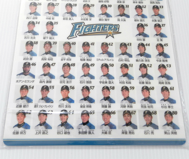 ヤフオク 北海道日本ハムファイターズ 下敷き 札幌ドーム ヤフオク 北海道日本ハムファイターズ 下敷き 札幌ドーム