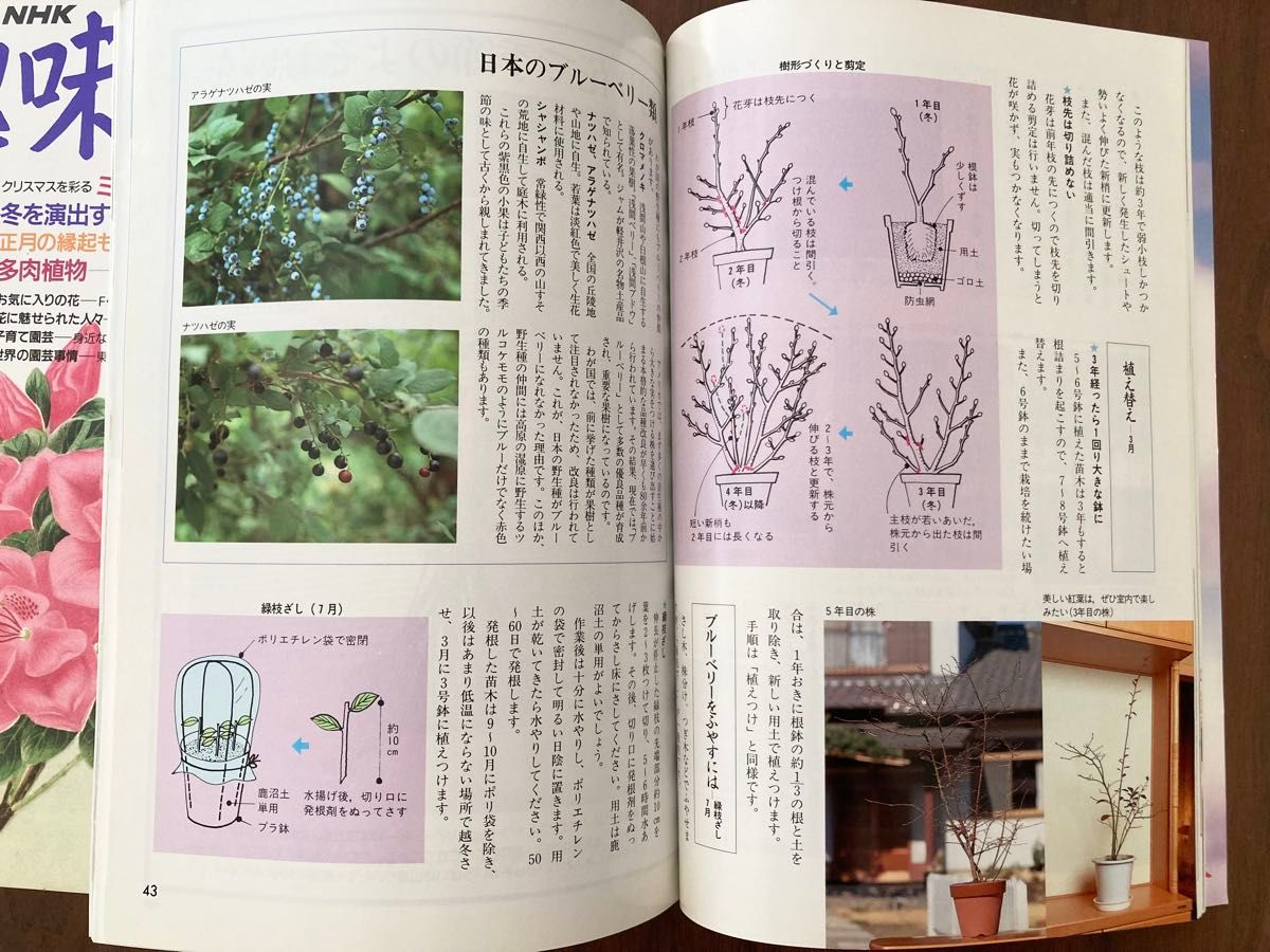 【レア品】34年前の古書 NHK趣味の園芸 19冊1991年〜1992年 昭和 レア品】34年前の古書 NHK趣味の園芸 19冊まとめて 1991年