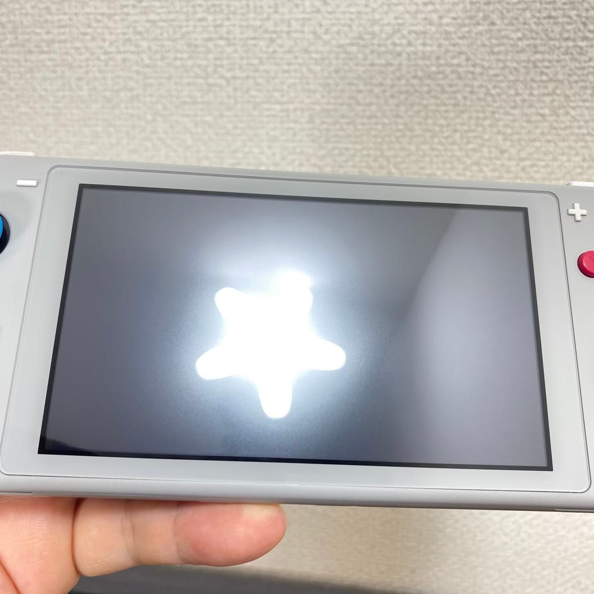 スイッチライト SwitchLite 本体 ザシアンザマゼンタ 2019年製