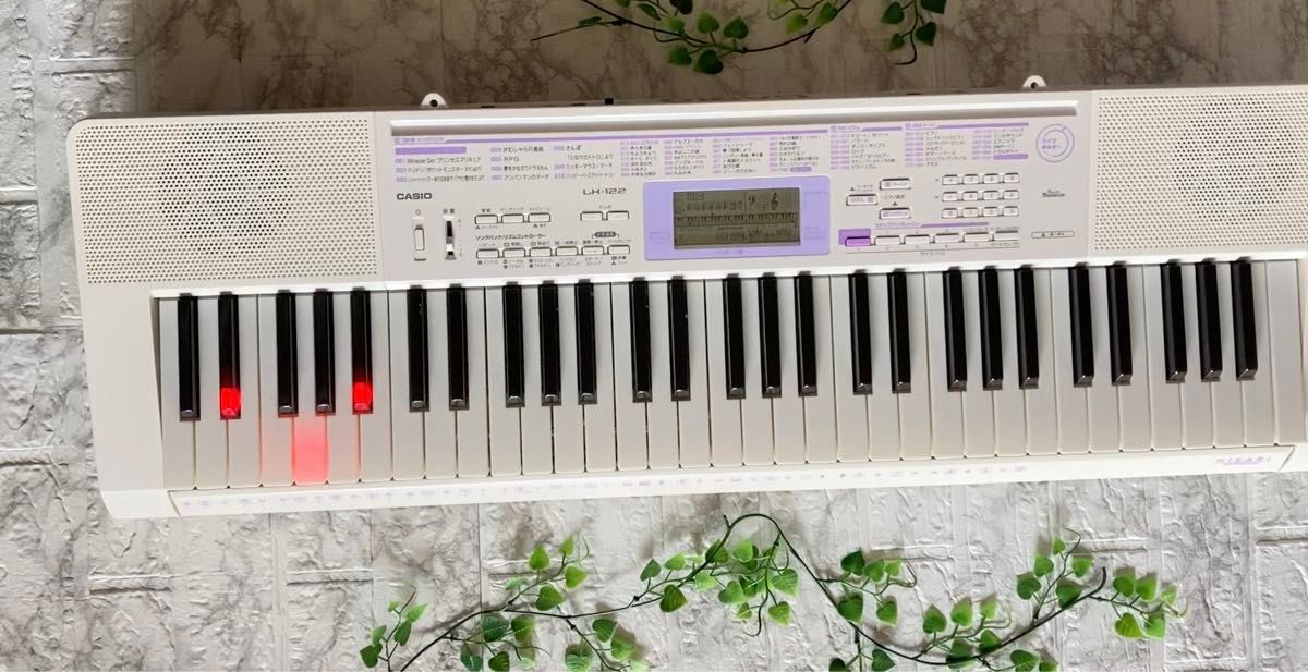 CASIO カシオCTK-900 キーボード 電子ピアノ(ハイグレード機種) CASIO カシオCTK-900 キーボード 電子ピアノ(ハイグレード機種