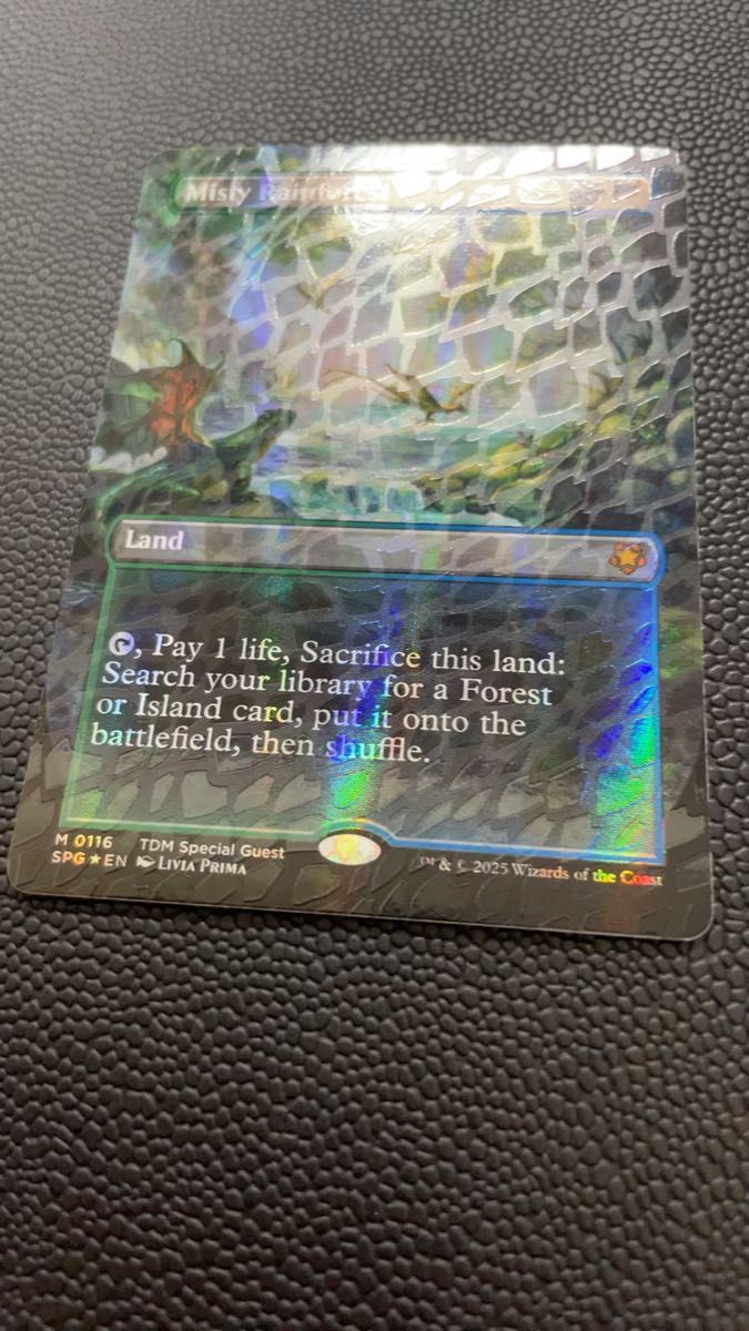 MTG 霧深い雨林(misty rain forest) ドラゴンスケイルfoil 英語版