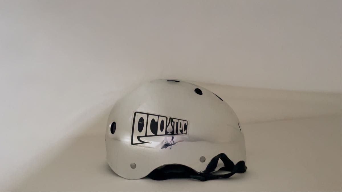 【送料無料】PROTEC 旧型 ミラー仕様 スケートボード用ヘルメット パウエル サンタクルーズ ドッグタウン ゾーラック