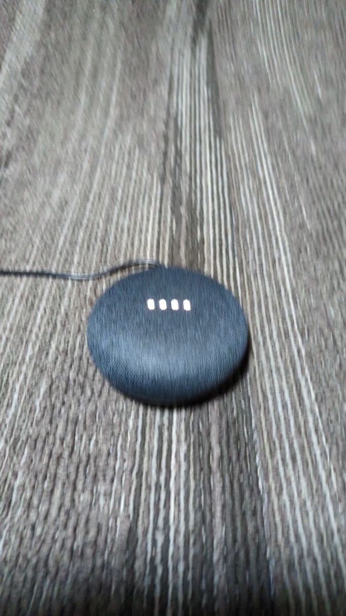 Google Nest Mini