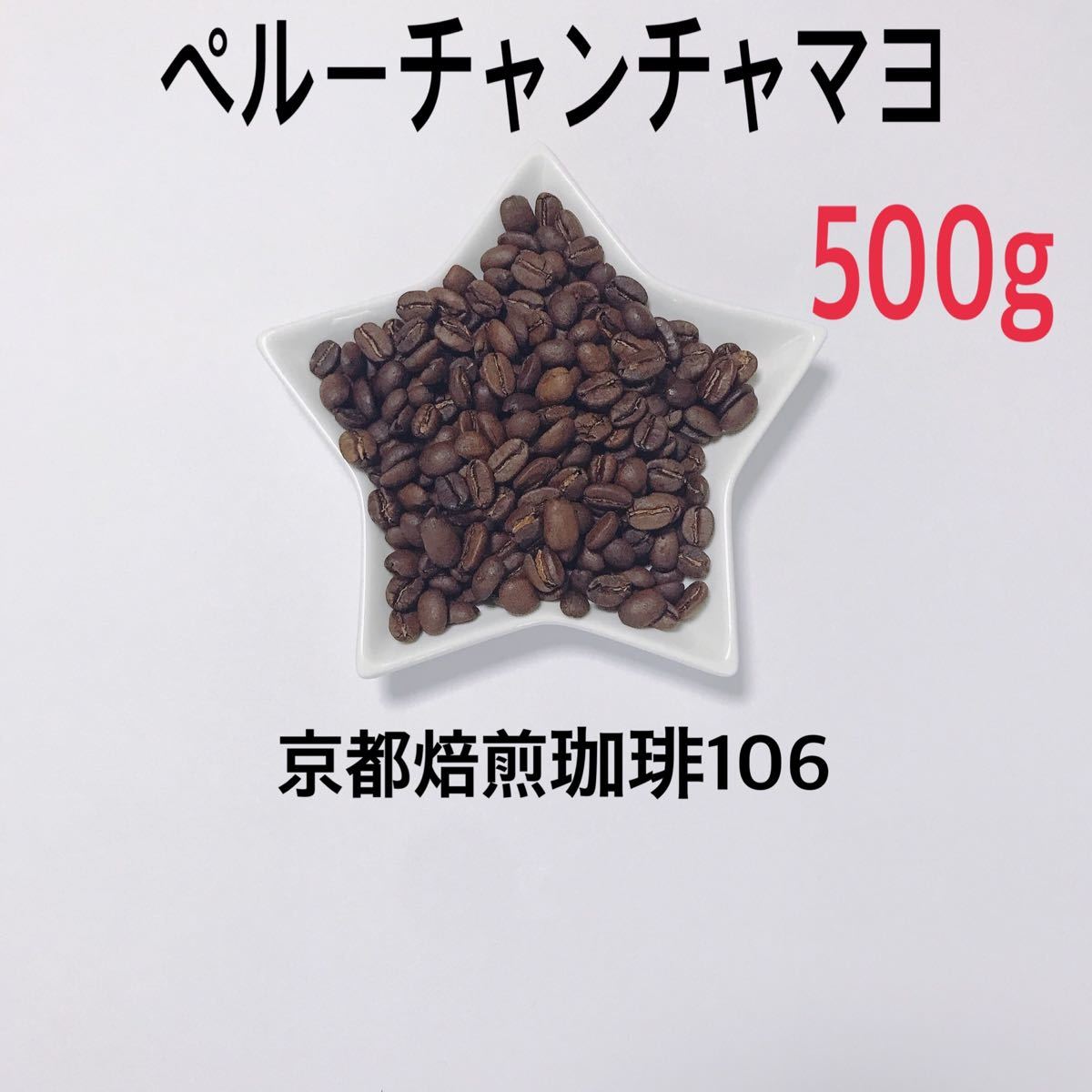 自家焙煎 珈琲豆  500g  (100g×5)