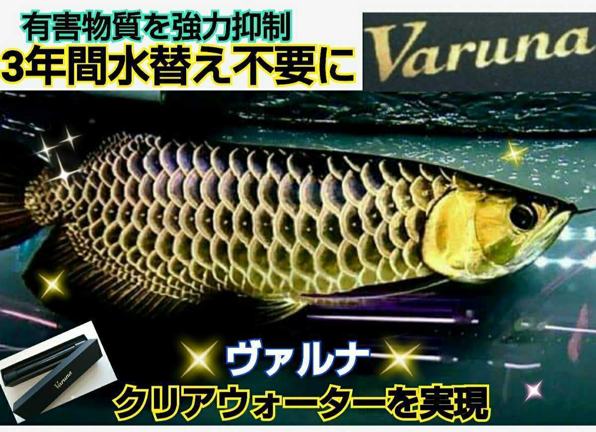 アロワナの飼育者絶賛!水槽の水が綺麗になります!【ヴァルナ アロワナの飼育者絶賛!水槽の水が綺麗になります!【ヴァルナ