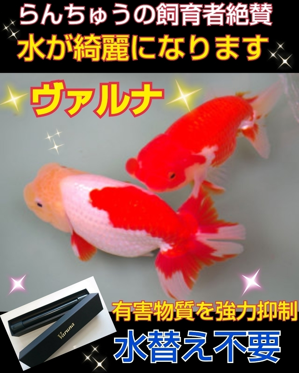 アロワナの飼育者絶賛!水槽の水が綺麗になります!【ヴァルナ アロワナの飼育者絶賛!水槽の水が綺麗になります!【ヴァルナ