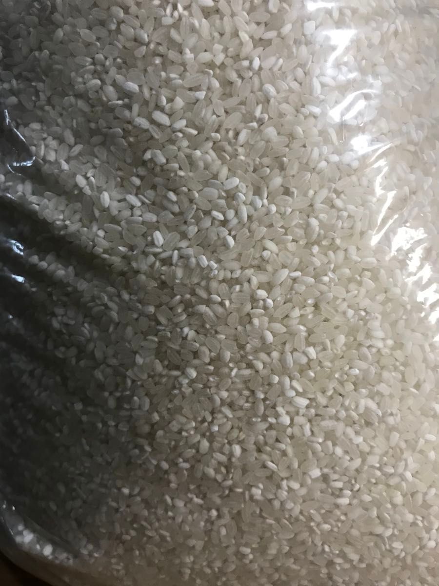 コスパ米20kg(5kg×4袋)お米 白米【令和6年新米入】｜Yahoo