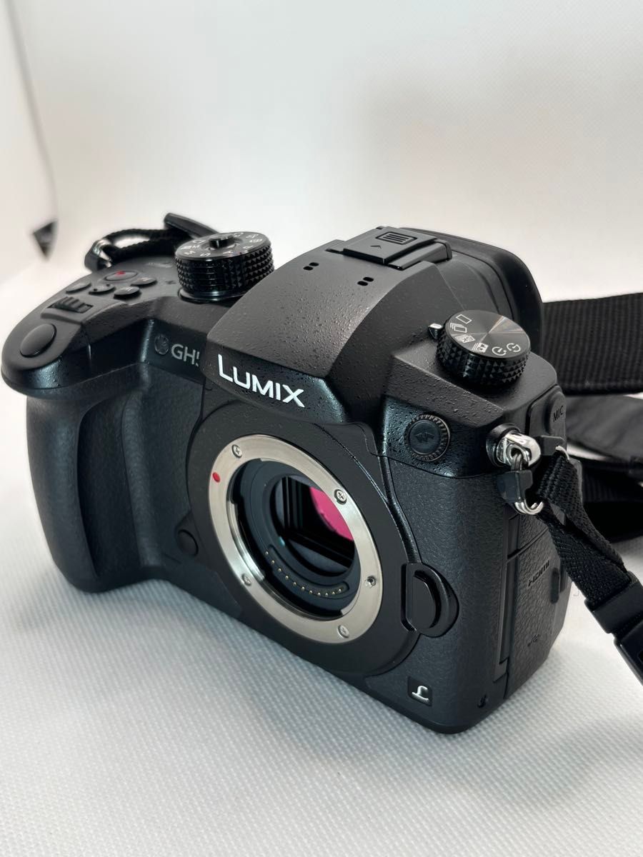 Panasonic DC-GH5M 12-60 レンズキット★元箱付き★ Panasonic DC-GH5M 12-60 レンズキット 元箱付き Panasonic