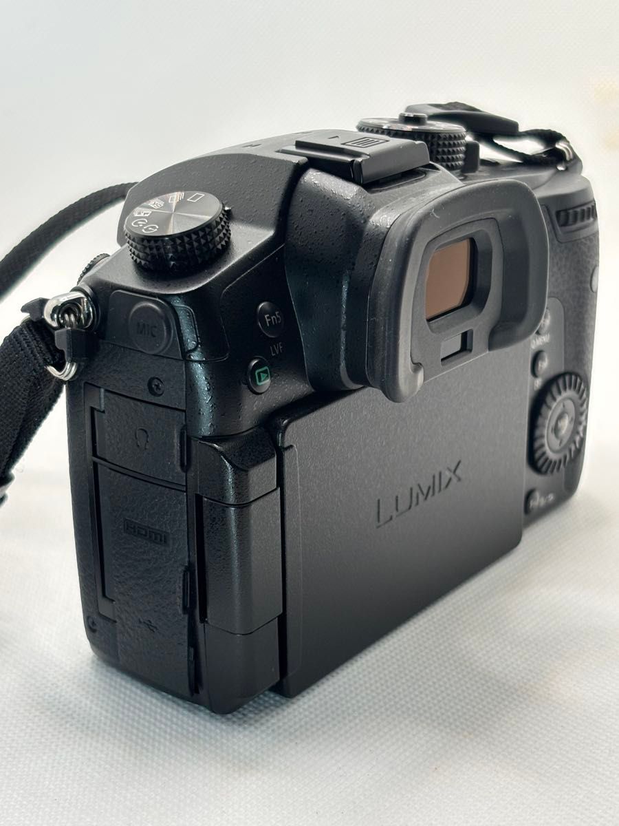 Panasonic DC-GH5M 12-60 レンズキット★元箱付き★ Panasonic DC-GH5M 12-60 レンズキット 元箱付き Panasonic