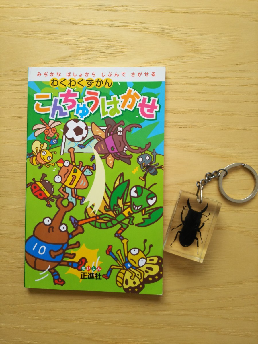 Paypayフリマ クワガタ キーホルダー 図鑑 昆虫 こんちゅうはかせ Paypayフリマ クワガタ キーホルダー 図鑑 昆虫 こんちゅうはかせ