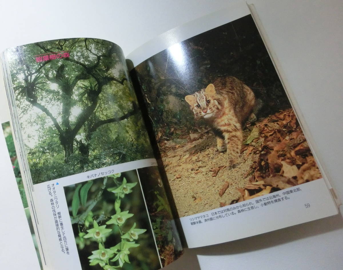 エコロジーガイド　日本の絶滅危惧生物　加藤辰巳・太田英利　共著　保育社_画像3