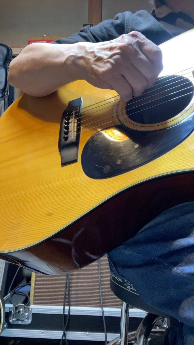 TOKAI トーカイ楽器 Humming Bird CUSTOM W-150 1970年代 ジャパンヴィンテージ ハードケース付属