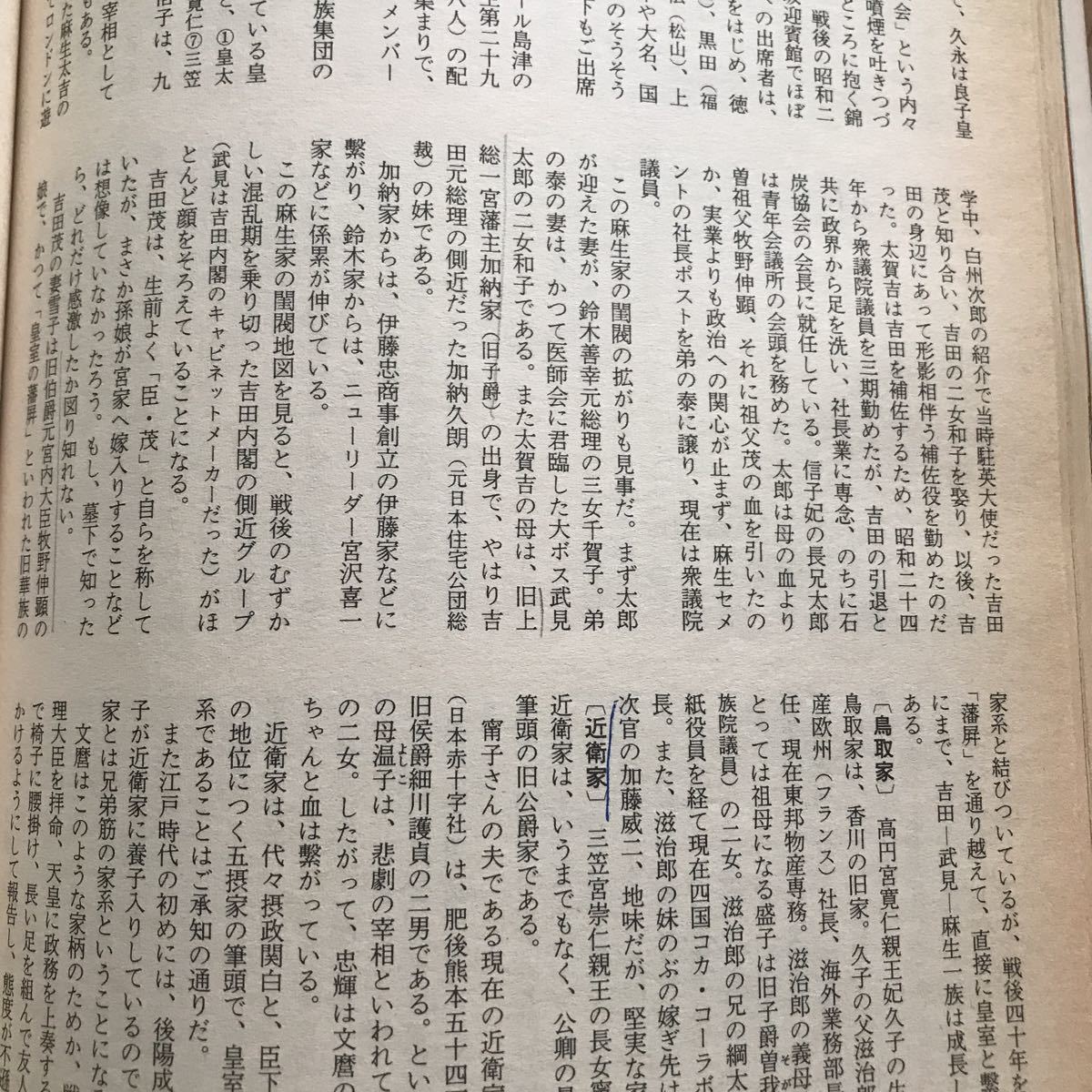 別冊歴史読本 49 天皇家と日本の名族 歴史を動かした連綿たる名家の血脈 第12巻第3号 3ページにボールペンと鉛筆による書き込み有り_画像6